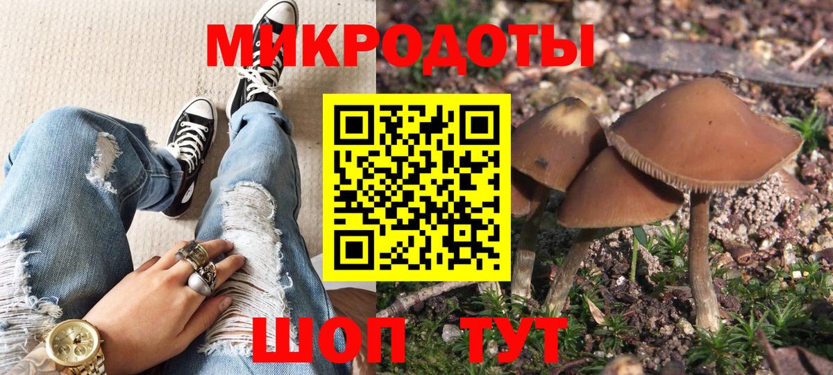 Ростов Великий  дарнет шоп  Вход с VPN  Галлюциногенные грибы GOLDEN TEACHER 