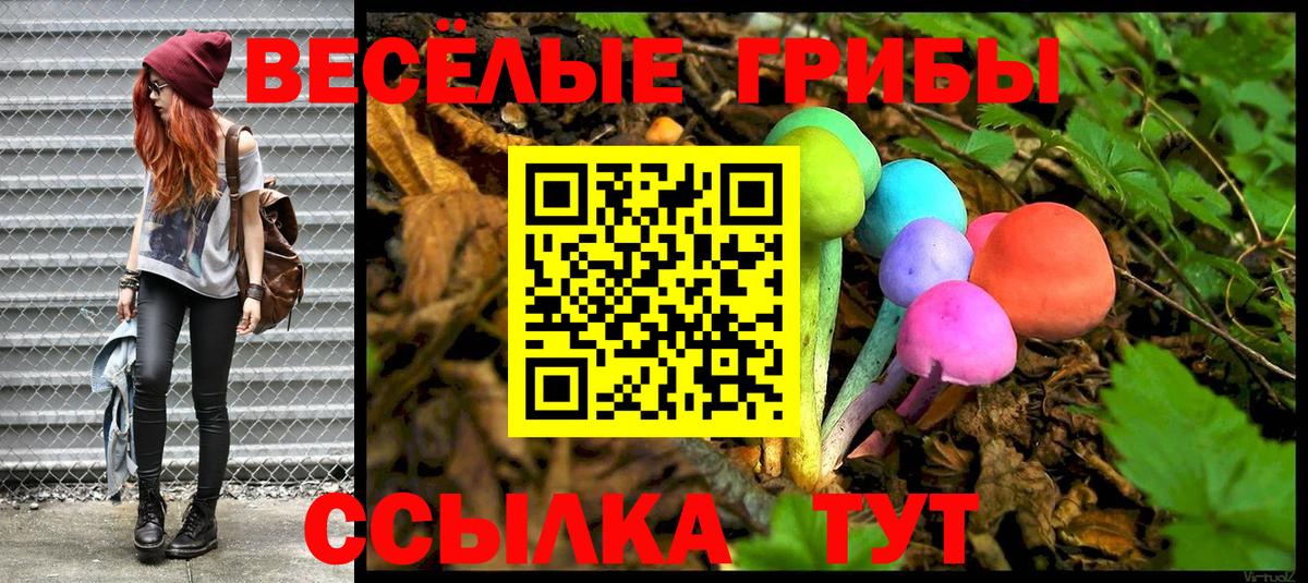 Псилоцибиновые грибы мухоморы Ростов Великий